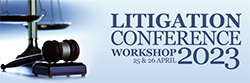 Litigation Conference Workshop 2023